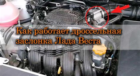 Основные элементы заслонки гранта:
