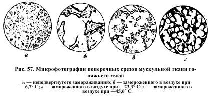 Основные этапы процесса замораживания