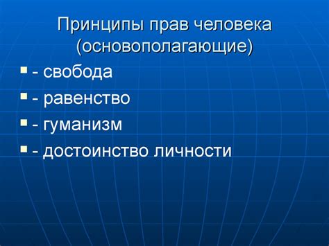Основополагающие принципы прав человека