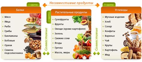 Основы разделенного питания: разделение продуктов по типу