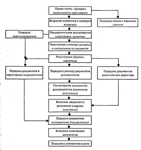 Основы сохранения и документации в архиве Гатчинского загса