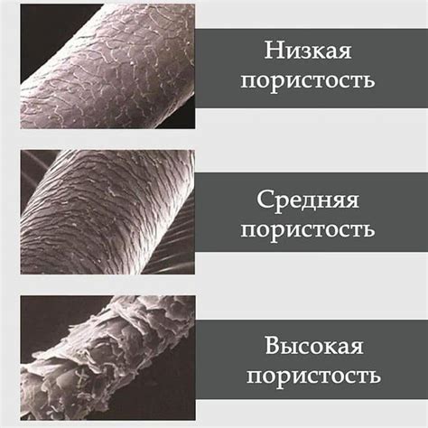 Особенности волос азиата
