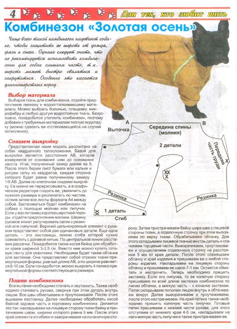 Особенности выбора комбинезона для собаки