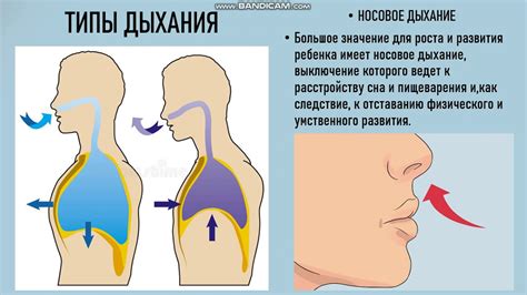 Особенности дыхания для создания низкого голоса