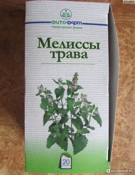 Особенности заваривания мелиссы с добавлением других трав