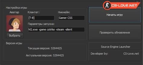 Особенности и проблемы установки Dsfix на разных версиях игры