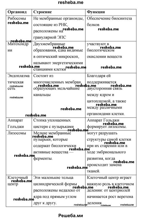 Особенности и состав чжанджамена