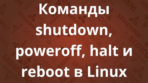 Особенности команды shutdown для перезагрузки Альт Линукс