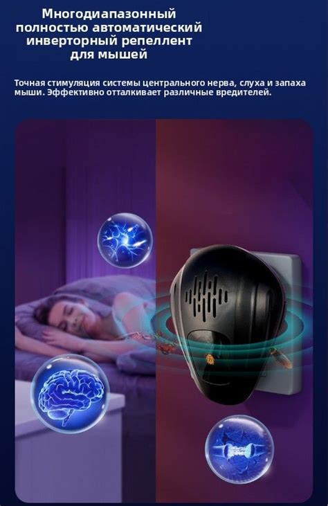 Особенности менталитета мышей и способы отпугивания