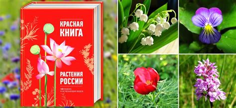 Особенности окраски красной книги