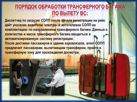 Особенности оформления багажа