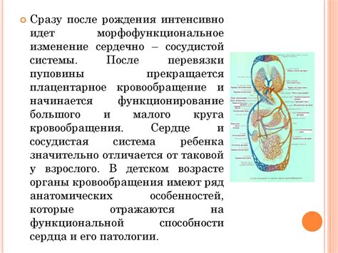 Особенности порций и созревания органов