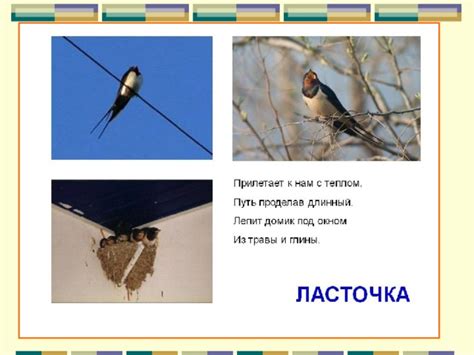 Особенности проекта дома ласточки