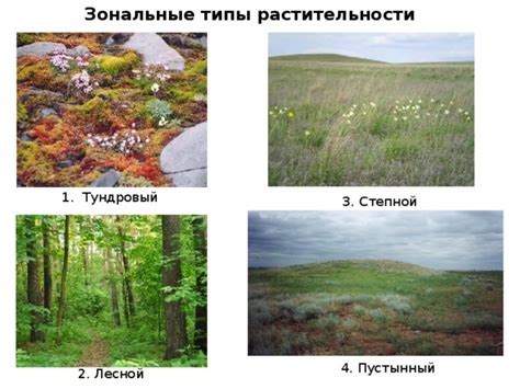 Особенности рисования растительности