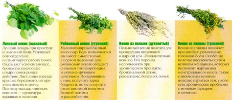 Особенности связывания разных видов веников