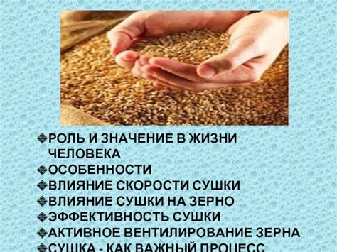 Особенности сушки