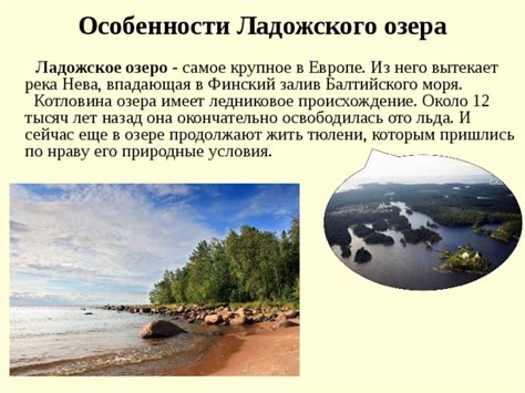 Особенности терпуга Ладожского озера