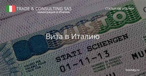Особенности туристической и бизнес-визы