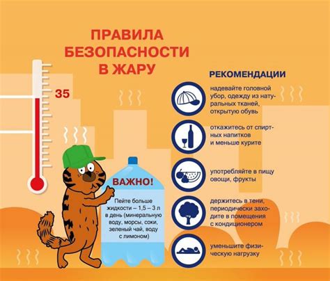 Особенности ухода в жаркую погоду