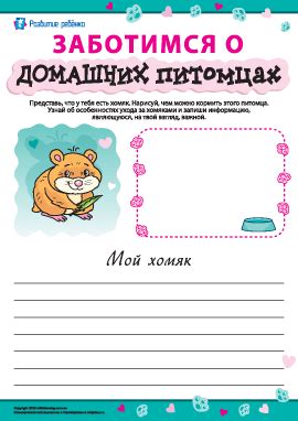 Особенности ухода за хомяками