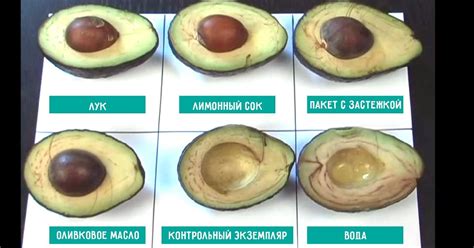Особенности хранения и приготовления мяса авокадо