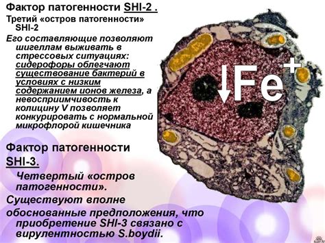 Острая гипогликемия