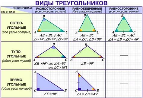 Остроугольный треугольник – основные понятия и свойства