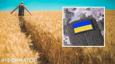 Ответы на распространенные вопросы о уходе за ежами