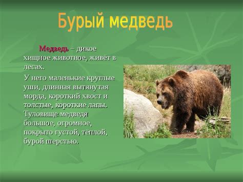 Отделка медведя шерстью