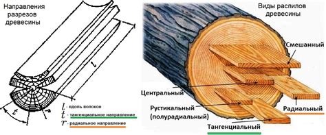Отделяем волокна дерева