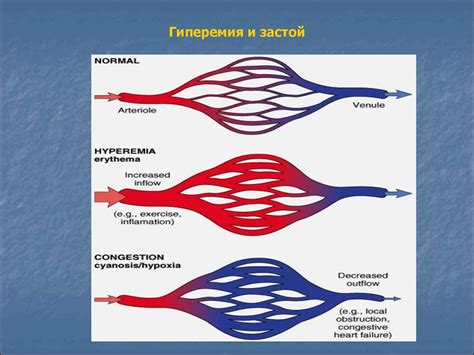 Отеки и нарушение кровообращения