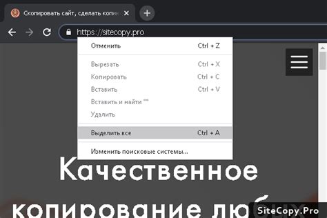 Откройте выбранное приложение и вставьте скопированную ссылку в специальное поле