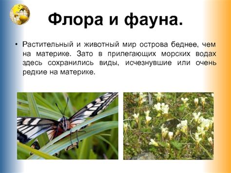 Открой экзотическую флору и фауну
