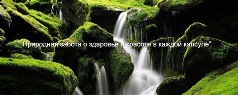 Открывайте для себя уникальный мир кьепола