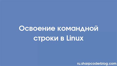 Открытие командной строки в Linux