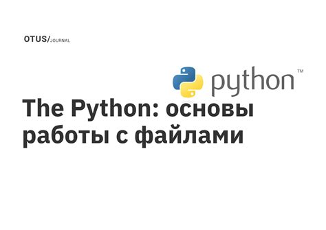 Открытие zip-файлов в Python: основы и принципы работы