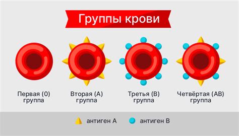Отличия первой и третьей групп крови