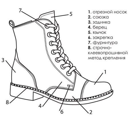 Отметьте основные детали ног