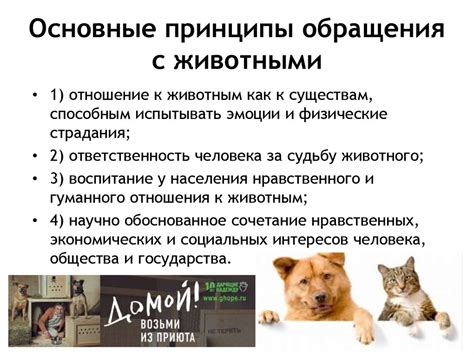 Отношение к людям и животным