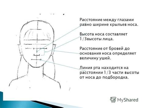 Отображение глаз, носа и рта Соника