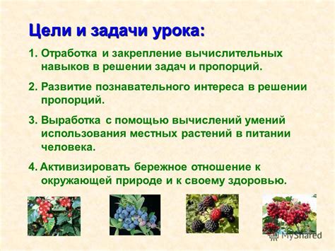 Отработка общих пропорций