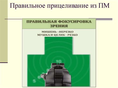 Отработка стрельбы и прицеливания