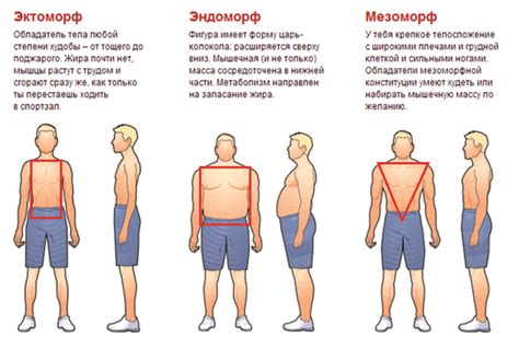 Отражение особенностей мужской фигуры