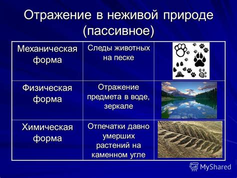 Отражение отношений на животных примерах