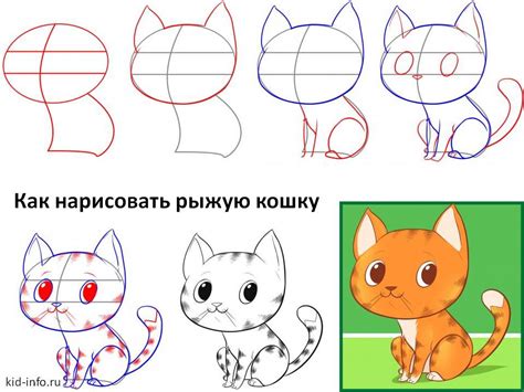 Отрисовка очертаний тела кота