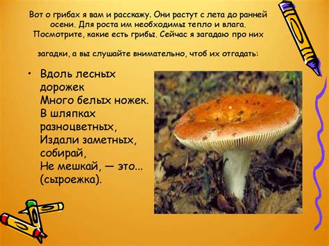 Отсутствие знания о растениях, животных и грибах