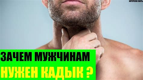 Отсутствие кадыка у мужчин: