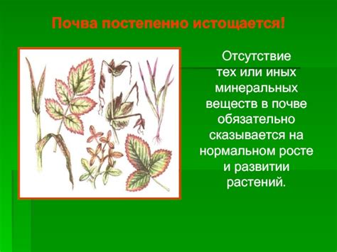 Отсутствие минеральных веществ