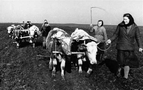 Отсутствие пищи: голод и упадок популяции