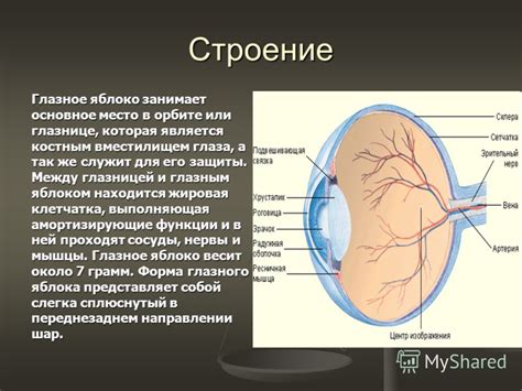 Отсутствие синхронности: различия между улыбкой и глазным контактом